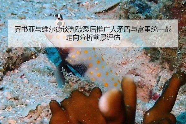 qiao-shu-ya-yu-wei-er-de-tan-pan-po-lie-hou-tui-guang-ren-mao-dun-yu-fu-li-tong-yi-zhan-zou-xiang-fen-xi-qian-jing-ping-2-637.jpg