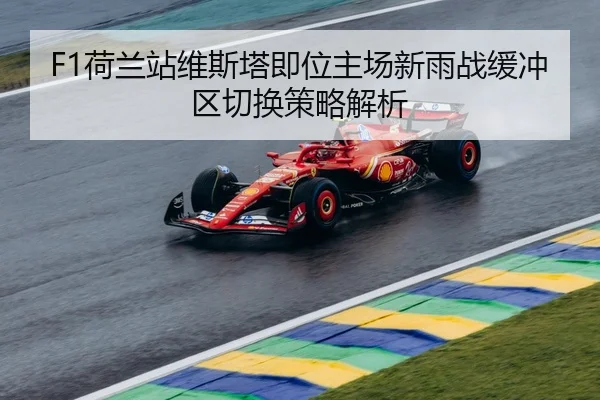 he-lan-zhan-wei-si-ta-ji-wei-zhu-chang-xin-yu-zhan-huan-chong-qu-qie-huan-ce-lve-jie-xi-3-176.jpg